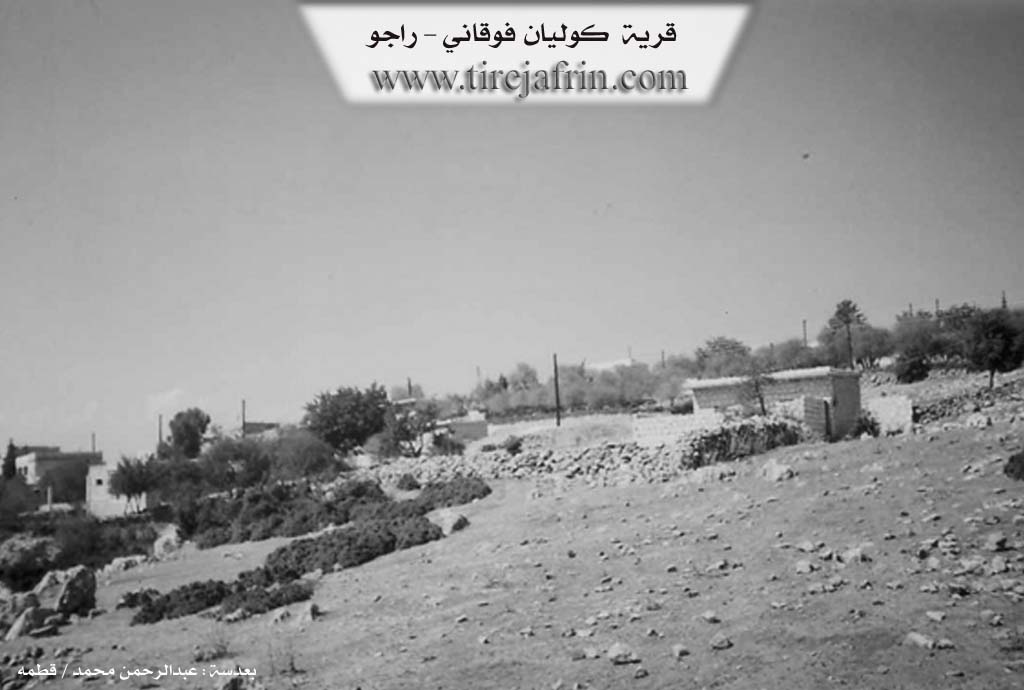 Photo of Goliyê Jorin